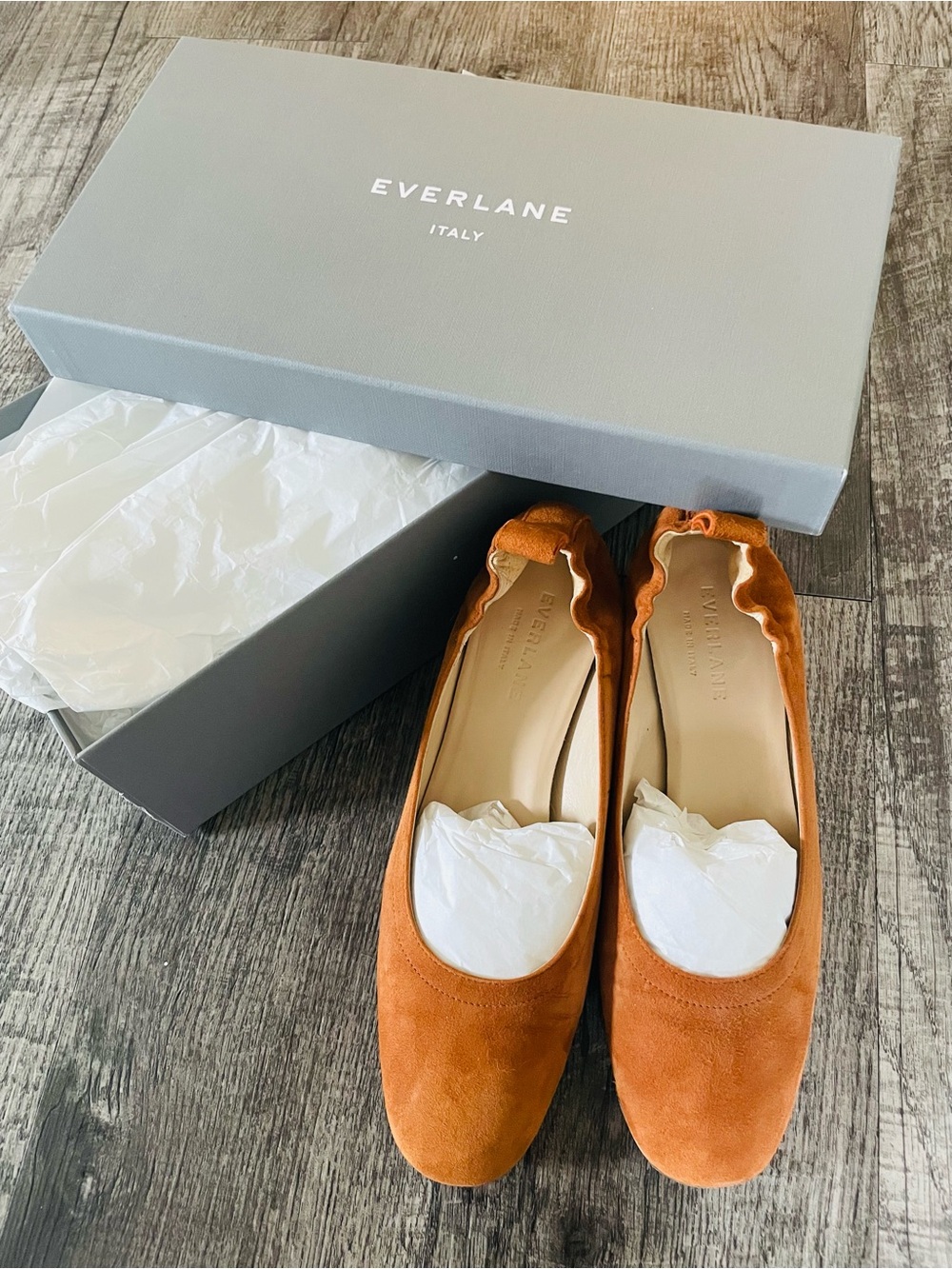Everlane Burnt Orange Suede Ballet Flats
